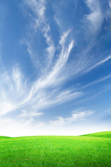 Green grass field and blue sky