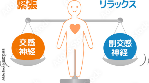 Autonomic nerve human body diagram illustration