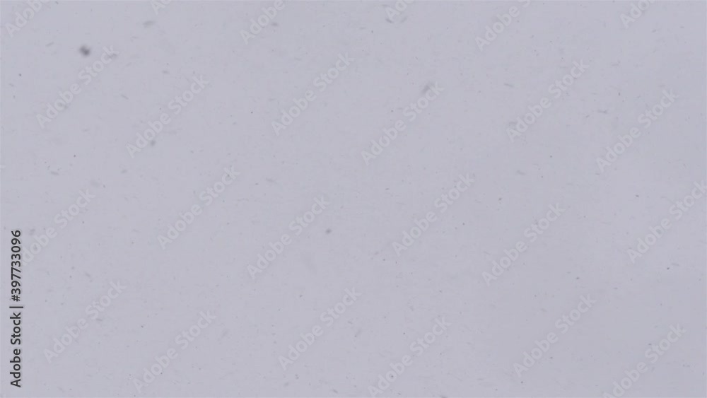 snow falling from the sky snow falling from the sky