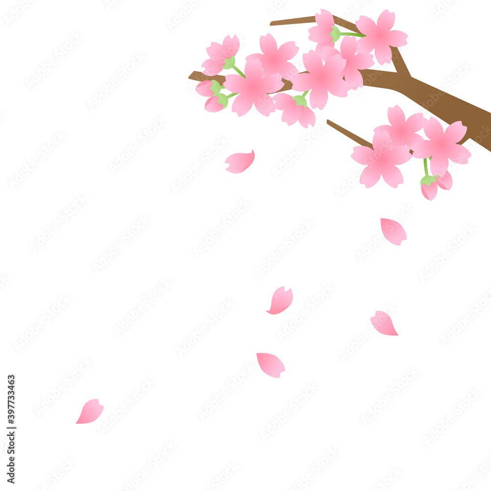 桜イラスト素材