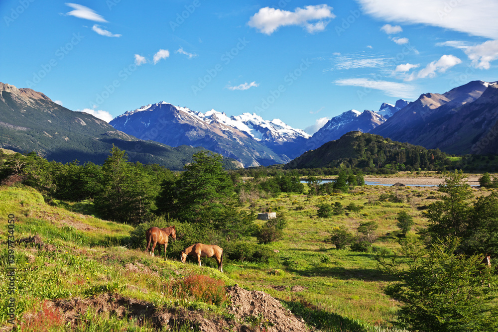 Horses in El Chalten village in Patagonia, Argentina