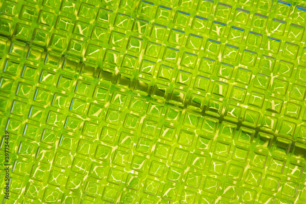 natural green background: blurred wide leaf with veins, visible through curly glass natural green background: blurred wide leaf with veins, visible through curly glass