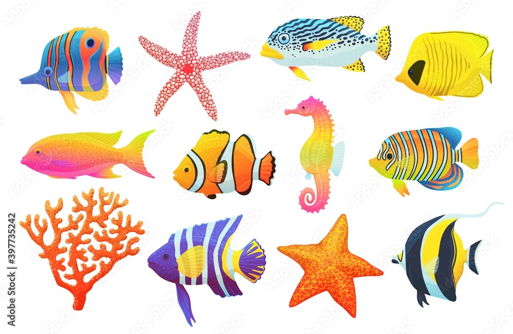 Collection of colorful tropical aquarium fish flat vector illustration isolated.