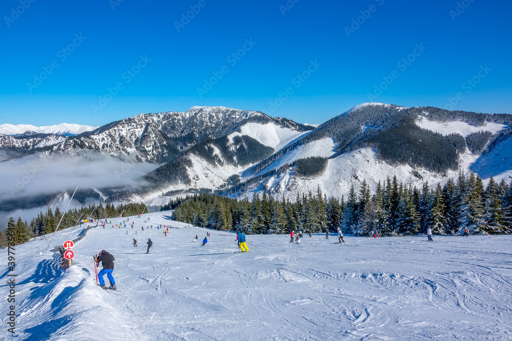 Lots of Skiers on a Wide and Gentle Ski Slope in Sunny Weather