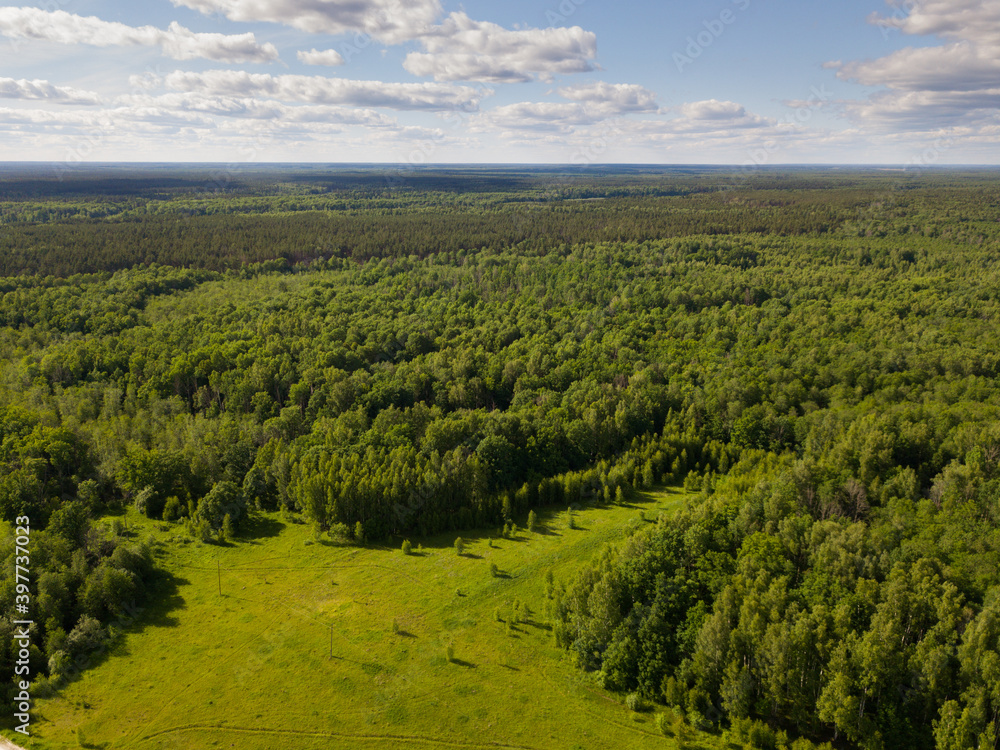Aerial view of picturesque forest landscape in central Russia on summer day.