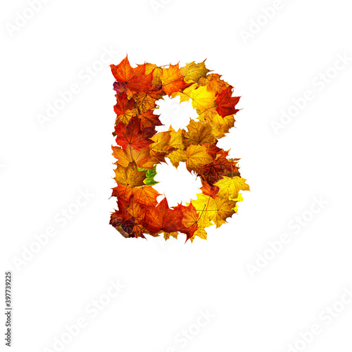 Colorful autumn leaves isolated on white background as letter B.