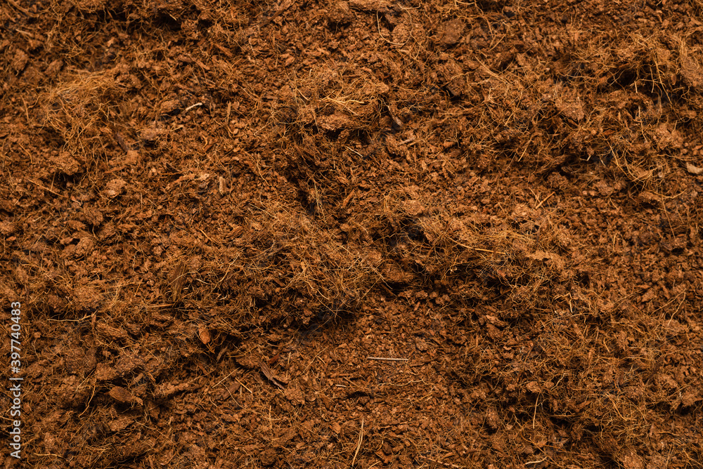 Coconut substrate background. Coconut substrate background.