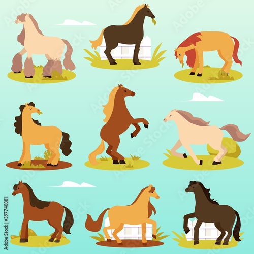 Cute thoroughbred pony horses in various poses a vector illustrations.