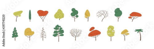 Set of deciduous and evergreen forest plants. Botanical collection of bare trees and ones with leaves and lush yellow, green and orange crowns. Colorful flat vector illustration on white background