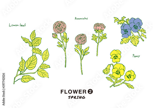 花　春　手描き