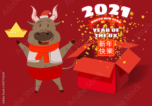 Happy Chinese 2021 new year greeting card. Year of the ox. Cute bull and open red gift boxg confetti gold money. Chinese zodiac symbol traditional holidays cartoon character. Vector illustration