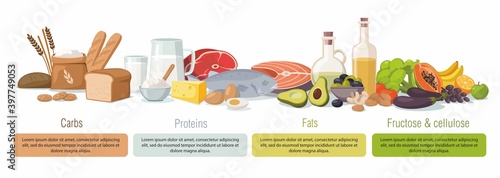 Main food groups - macronutrients. Carbohydrates, fats, proteins and fructose. Vector infographic