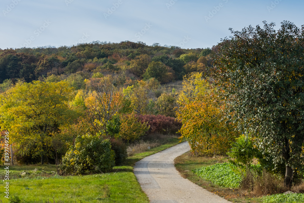 beautiful bike path in a colorful autumn landscape beautiful bike path in a colorful autumn landscape