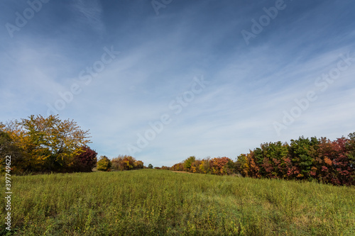 high meadow and colorful trees in autumn with clouds