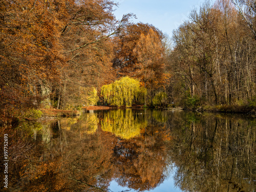 Fototapeta Naklejka Na Ścianę i Meble -  Golden autumn view in famous Munich relax place - Englischer Garten. Munich, Bavaria, Germany
