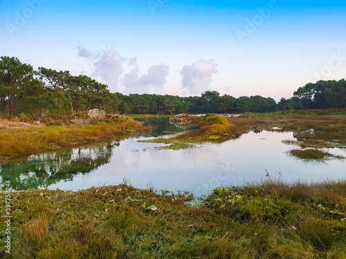 Marsh in Carreiron natural park