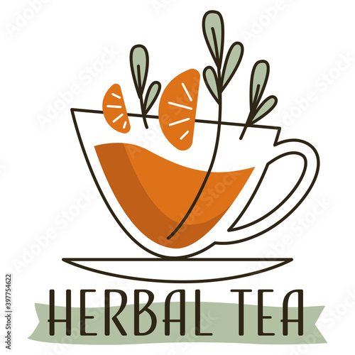 Herbal tea warm tasty beverage with mint vector