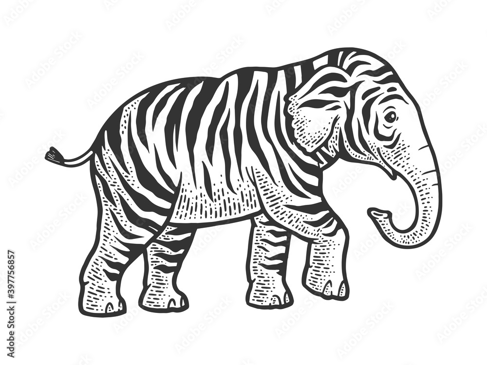 Fototapeta premium fictional animal tiger elephant sketch engraving vector illustration. T-shirt apparel print design. Scratch board imitation. Black and white hand drawn image.