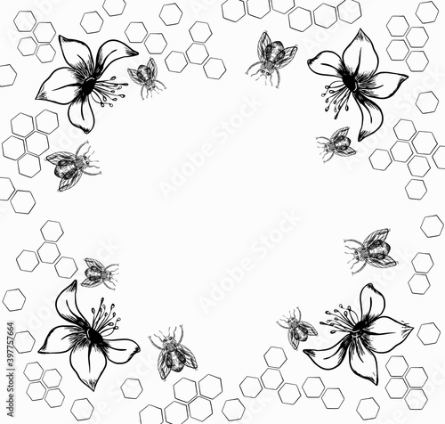 Bee frame made of propolis linden flowers with copy space. Vector graphic illustration