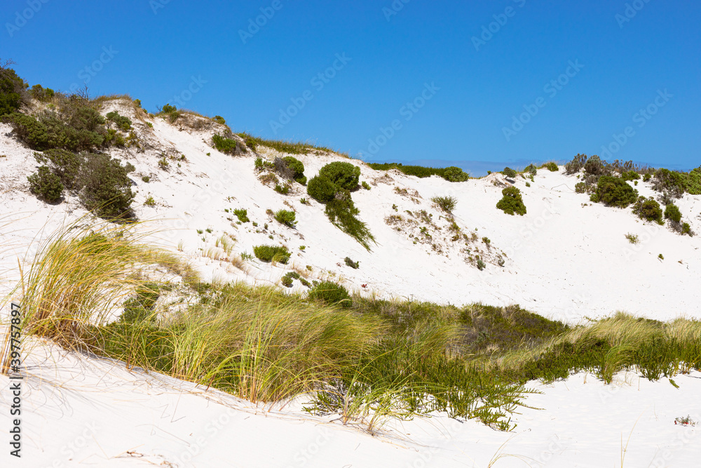 Coastal sand dune landscape of Fish Hoek, Cape Town