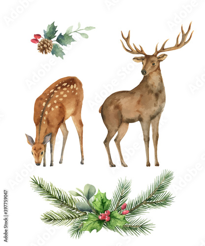 Watercolor vector card with a deer and a fir branch.