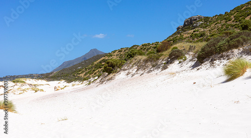 Coastal sand dune landscape of Fish Hoek, Cape Town