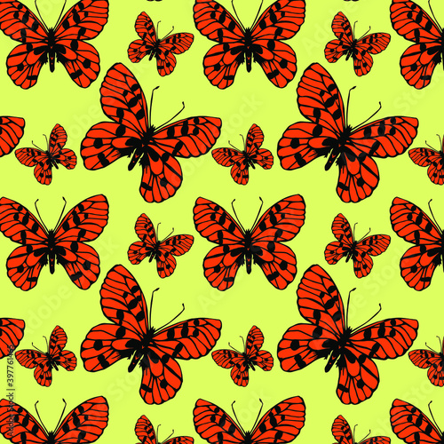 Drawn butterfly. Butterfly anatomy drawing. Pattern for printing. © Ольга Мороз