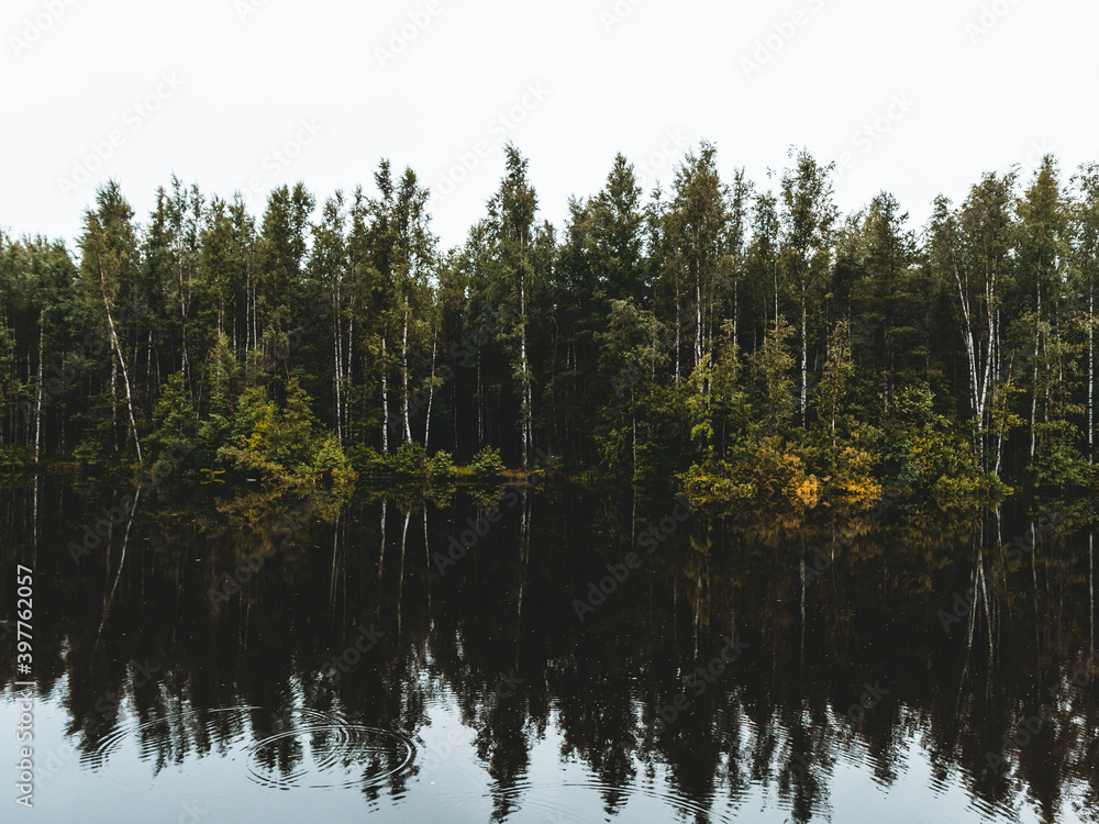 Nature landscape photography. Forest and river with reflections on a cloudy day.