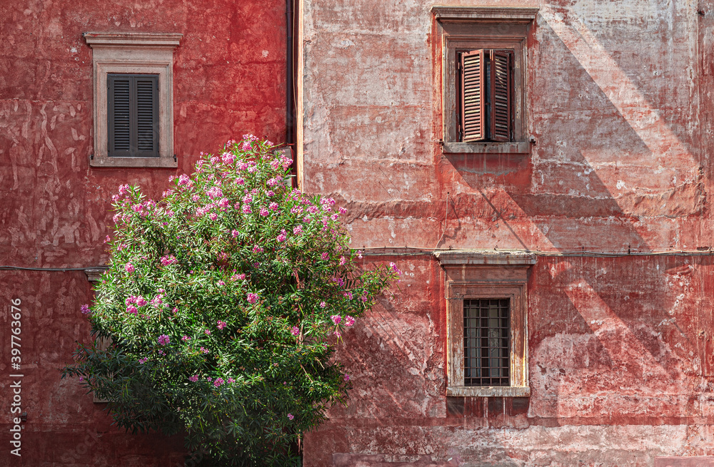 Vintage wall with old weathered render in Rome, Italy