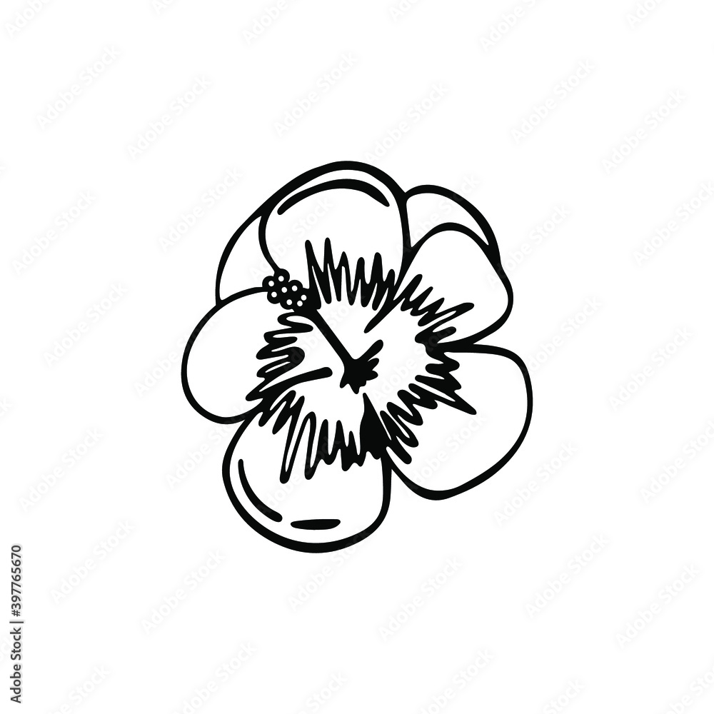 Hand-drawn single element hibiscus. Beautiful exotic flower isolated on white background. Vector illustration. Hand-drawn single element hibiscus. Beautiful exotic flower isolated on white background. Vector illustration.