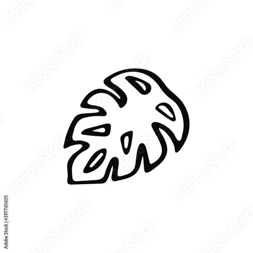 Single hand-drawn monstera leaf. Exotic tropical plant isolated on white background. Vector illustration.