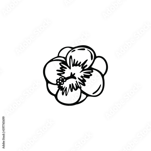 Hand-drawn single element hibiscus. Beautiful exotic flower isolated on white background. Vector illustration.