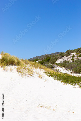 Coastal sand dune landscape of Fish Hoek  Cape Town