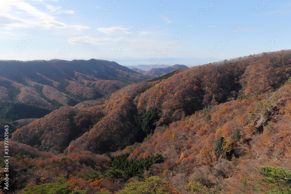 Autumn-colored mountains seen from the ridge / 栃木百名山・仙人ヶ岳の稜線から見る色づいた山々 (晩秋/紅葉) Autumn-colored mountains seen from the ridge / 栃木百名山・仙人ヶ岳の稜線から見る色づいた山々 (晩秋/紅葉)