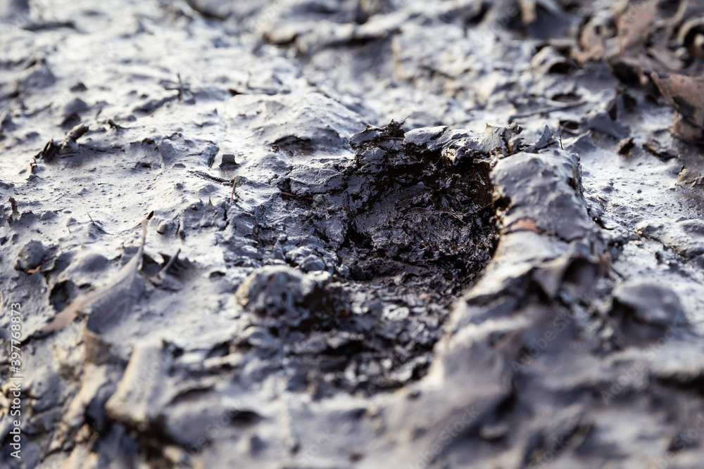 Fresh bootprint in the mud with a shallow fore and background and copy space Fresh bootprint in the mud with a shallow fore and background and copy space