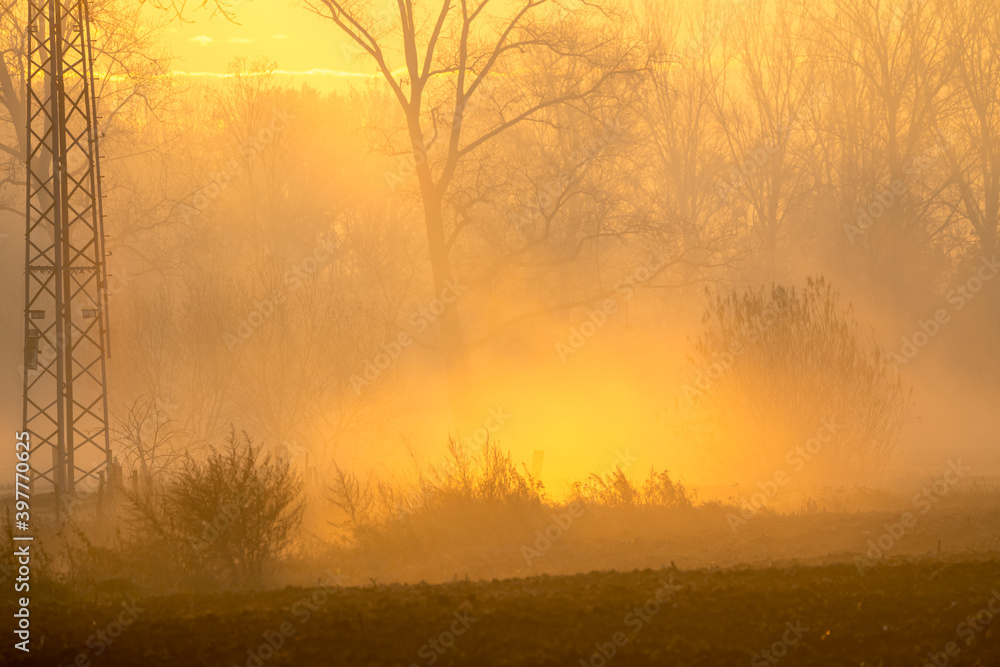 at sunrise whit mist