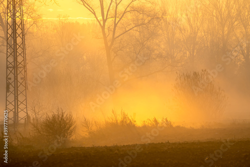 at sunrise whit mist