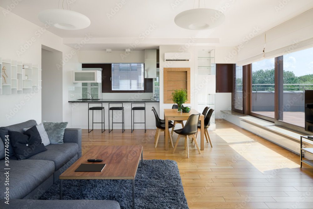 Fototapeta premium Spacious apartment with window wall
