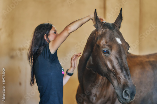 A young woman cuts a horse's mane.