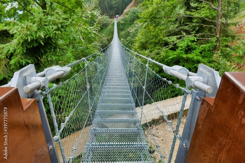 bridge in the forest, photo as a background , in pasubio mountains, dolomiti, alps, thiene schio vicenza, north italy photo