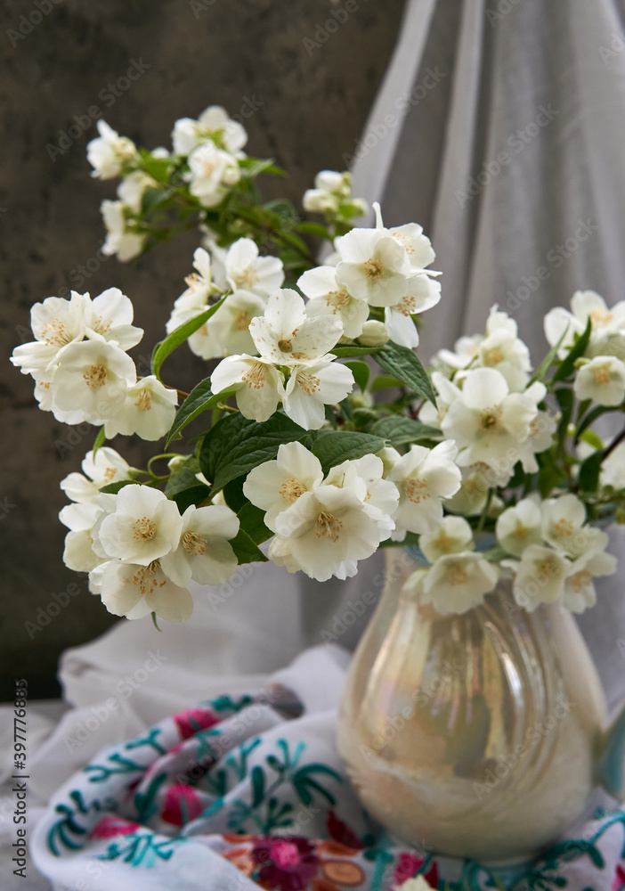 Jasmine flowers in a white vase. Stillife with spring flowers. Jasmine flowers in a white vase. Stillife with spring flowers.