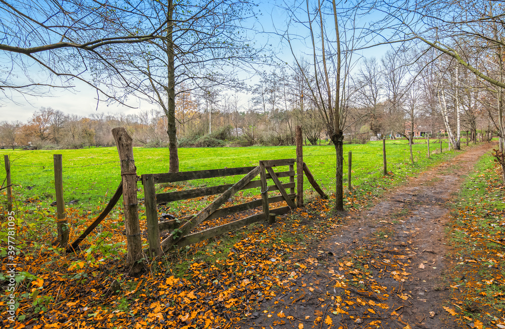 Autumn landscape with hiking path along a green meadow with wooden rural gate in Belgium.