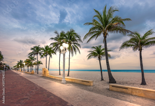 Hollywood beach, Florida. Coconut palm trees on the beach and illuminated street lights on the broadwalk at dusk. photo