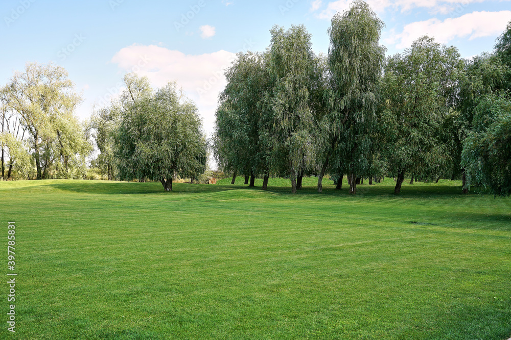 grass, tree, green, golf, park, landscape, sky, trees, nature, blue, field, summer, meadow, lawn, spring, forest, golf course, garden, cloud, fairway, rural, sport, clouds, outdoors air, blue sky,