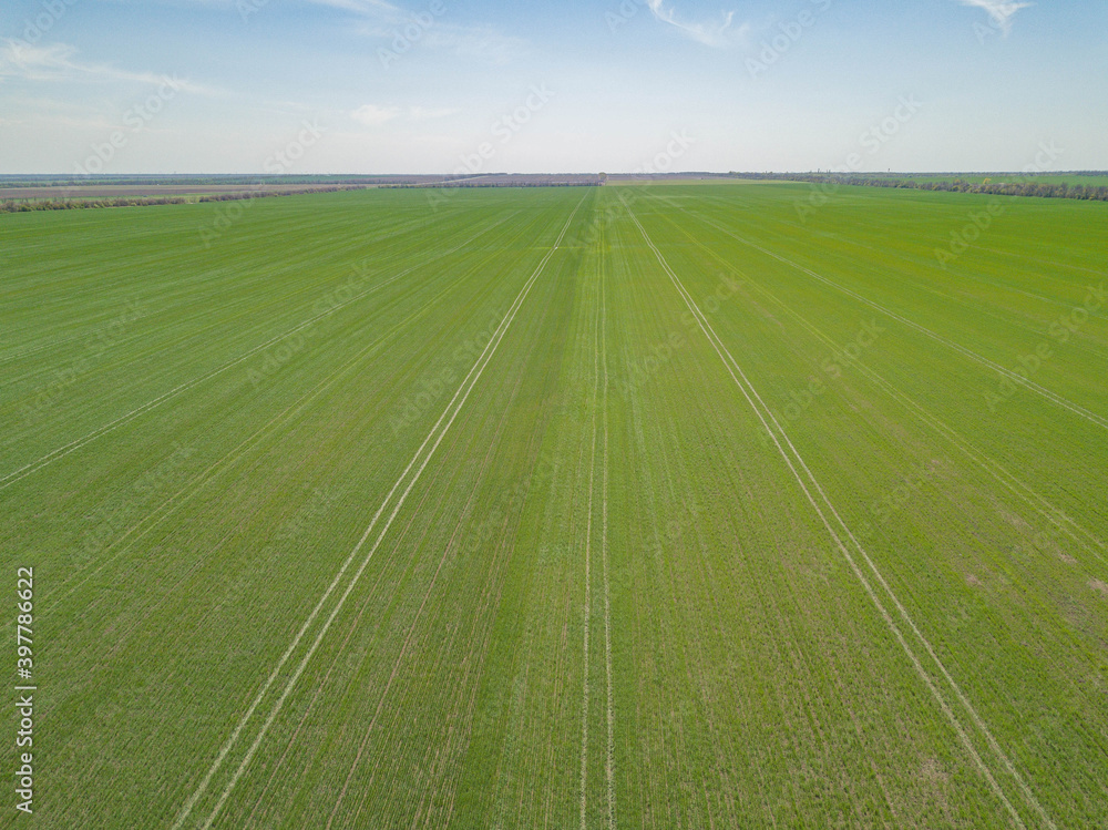 Aerial drone photo. Green meadow farmland field.