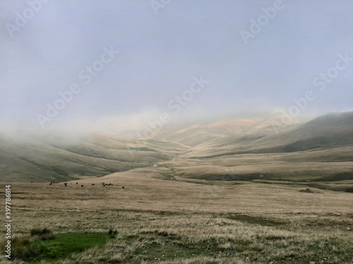 misty morning in the mountains