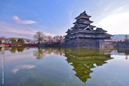 満開に咲き誇る桜と松本城