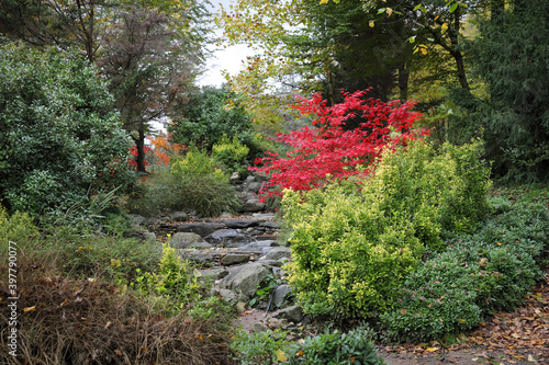 Stream bed and forest during autumn