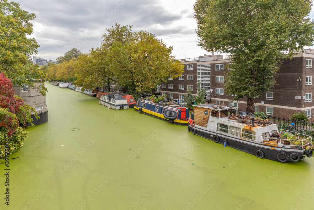 Very green water in the canal at Little Venice, London