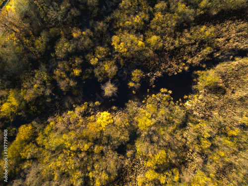 Moor aus der Luft Natur mit Fluss 